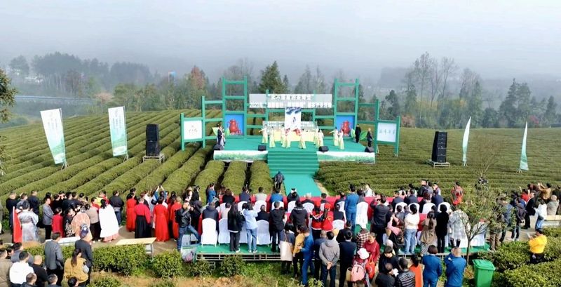 有关于湄潭春茶开采了！的内容