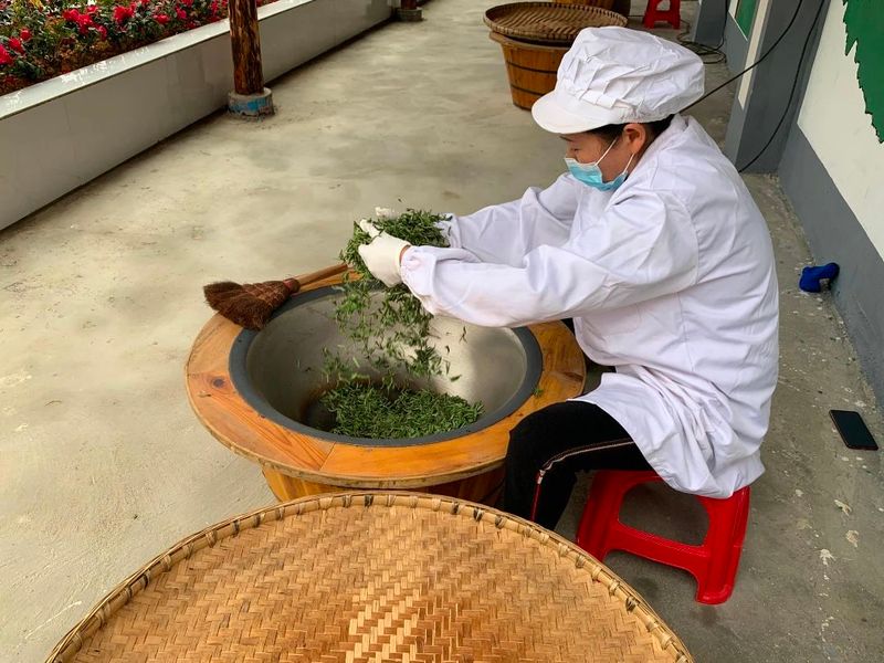 有关于第八届“品平塘甲茶·观中国天眼——贵州春茶第一壶”开采品鉴系列活动今日启动的信息(9)