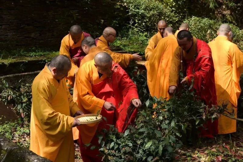 关于助力非遗活态传承，蒙顶山践行“旅游+非遗”文旅融合发展使命！的信息(21)