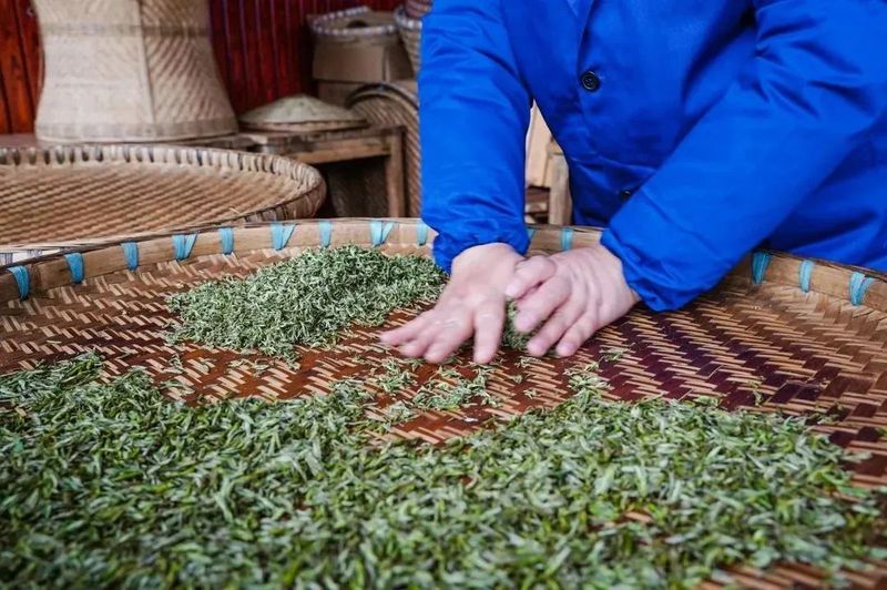 关于助力非遗活态传承，蒙顶山践行“旅游+非遗”文旅融合发展使命！的信息(2)