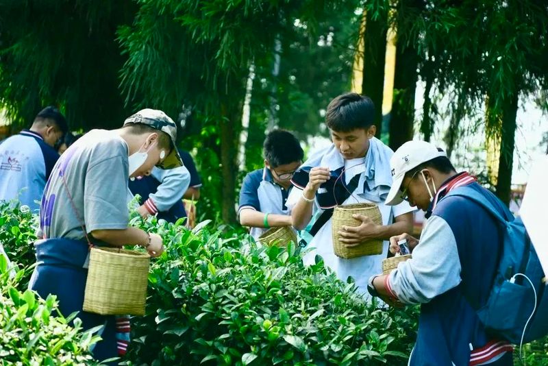 关于助力非遗活态传承，蒙顶山践行“旅游+非遗”文旅融合发展使命！的信息(3)