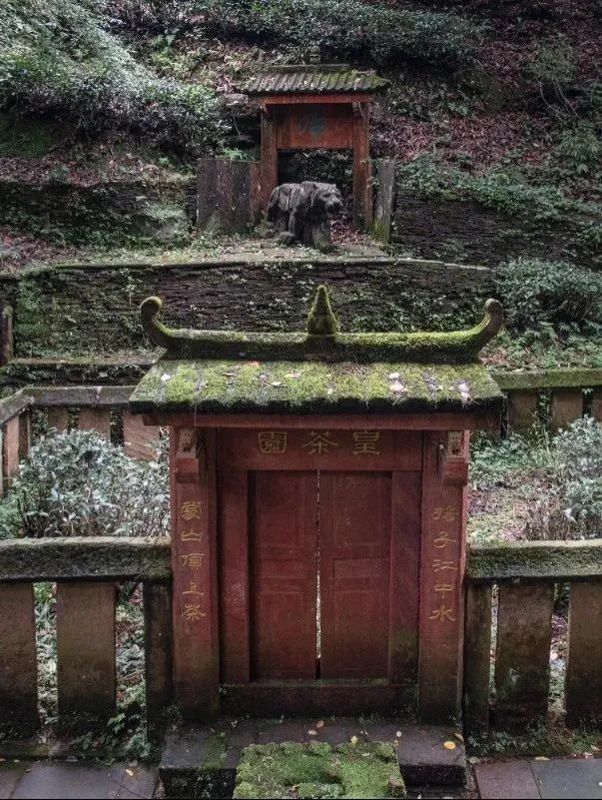 关于助力非遗活态传承，蒙顶山践行“旅游+非遗”文旅融合发展使命！的信息(17)