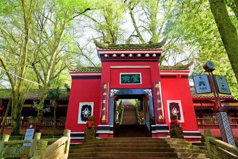 关于助力非遗活态传承，蒙顶山践行“旅游+非遗”文旅融合发展使命！的信息