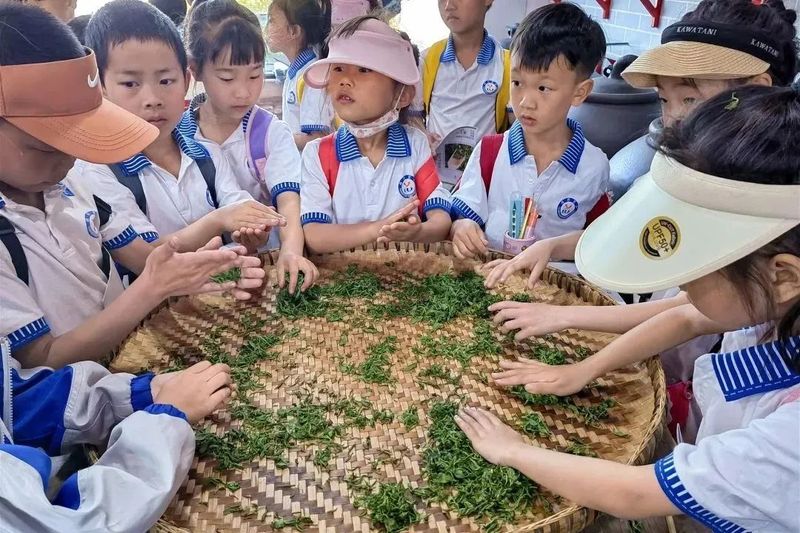 关于助力非遗活态传承，蒙顶山践行“旅游+非遗”文旅融合发展使命！的信息(5)