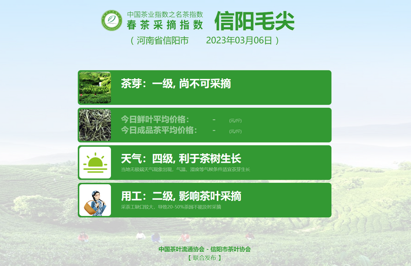 有关于惊蛰，伴着茶香，2023春茶采摘指数今起播报的相关内容(7)