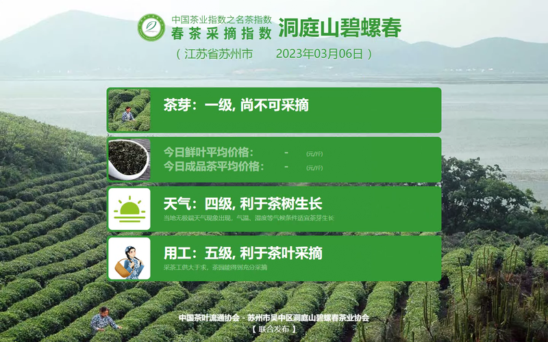 有关于惊蛰，伴着茶香，2023春茶采摘指数今起播报的相关内容(5)