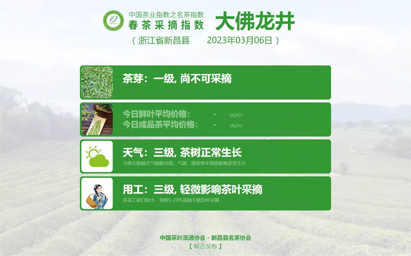有关于惊蛰，伴着茶香，2023春茶采摘指数今起播报的相关内容(11)