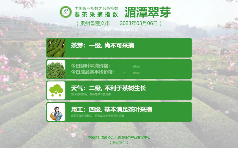 有关于惊蛰，伴着茶香，2023春茶采摘指数今起播报的相关内容(10)