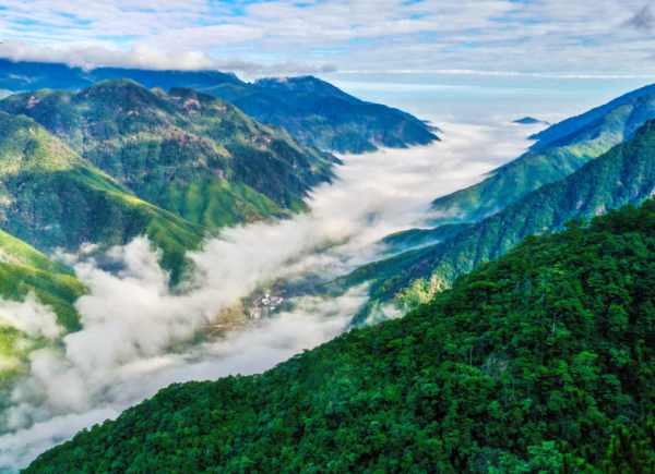 有关于人民论坛调研组：“茶科技”在武夷山生根发芽的最新消息(3)