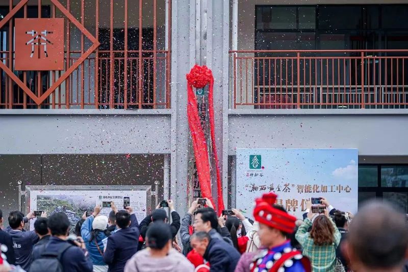 关于吉首市湘西黄金茶文化旅游节暨湖南省消费帮扶营销大赛巅峰之战成功举办的最新消息(29)