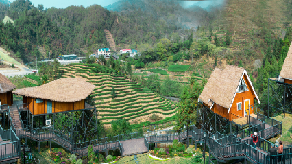 关于吉首市湘西黄金茶文化旅游节暨湖南省消费帮扶营销大赛巅峰之战成功举办的最新消息(10)