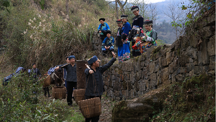 关于吉首市湘西黄金茶文化旅游节暨湖南省消费帮扶营销大赛巅峰之战成功举办的最新消息(8)
