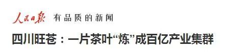 有关于一片茶叶“炼”成百亿产业集群 《人民日报》关注旺苍茶产业的信息