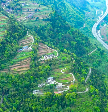 有关于一片茶叶“炼”成百亿产业集群 《人民日报》关注旺苍茶产业的信息(5)