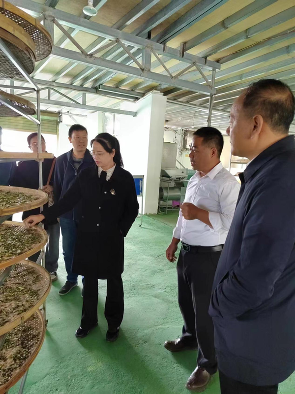 关于红河县政协赴绿春县考察调研“茶叶产业发展”情况的最新消息(1)