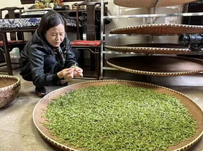 有关于属于杭州的春天滋味来了，西湖龙井新茶正式开采的信息(3)