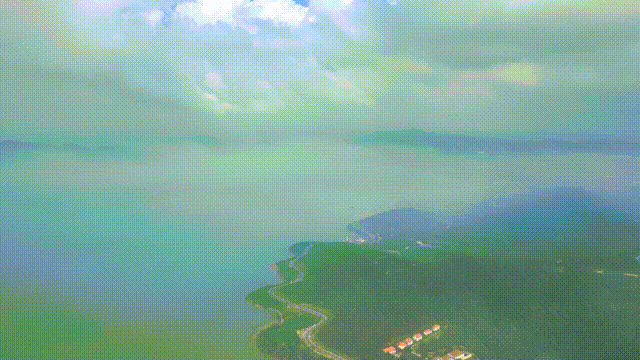 有关于中国茶村，洞庭山碧螺春产地吴中区的信息(12)