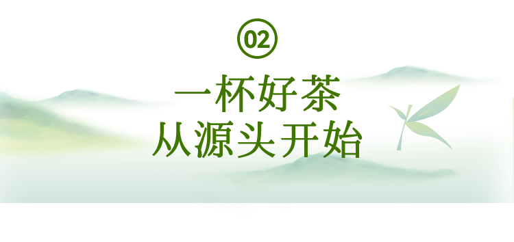 有关于中国茶村，洞庭山碧螺春产地吴中区的信息(6)