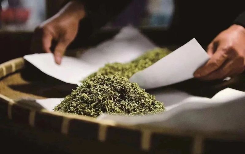 有关于中国茶村，洞庭山碧螺春产地吴中区的信息(10)