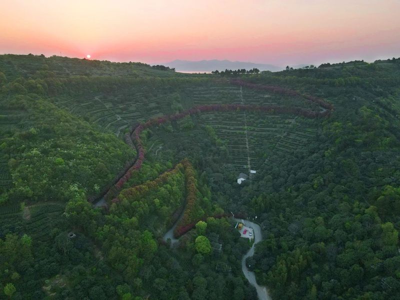 有关于中国茶村，洞庭山碧螺春产地吴中区的信息(3)