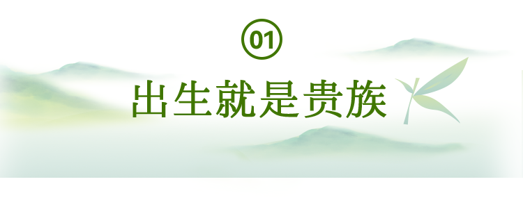 有关于中国茶村，洞庭山碧螺春产地吴中区的信息(2)