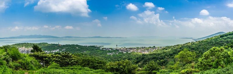 有关于中国茶村，洞庭山碧螺春产地吴中区的信息(15)