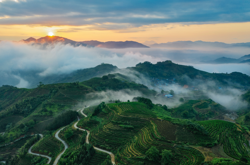 关于首届中国红茶大会将在福安开幕，这些亮点不容错过的相关信息(5)