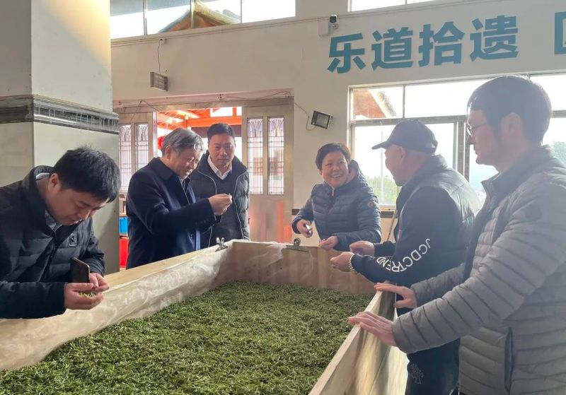 有关于中国茶科所书记、副所长江用文来文调研指导茶产业发展的新闻