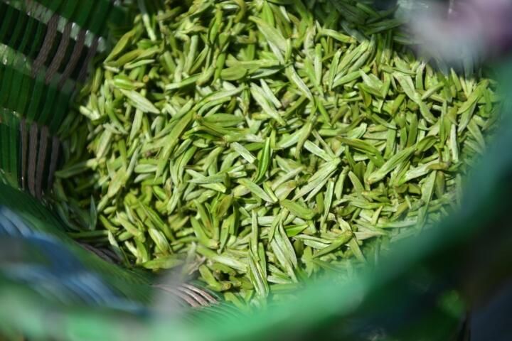 关于2023年镇江金山翠芽绿茶价格的相关内容(2)