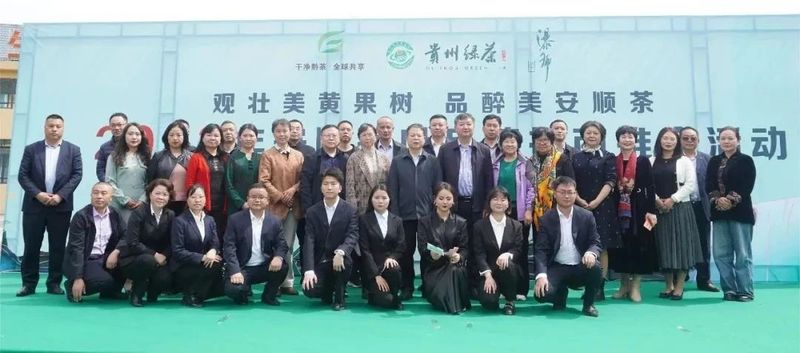 关于春茶已开采 香茗待客来——2023年安顺茶叶品牌招商推介活动举办的新闻