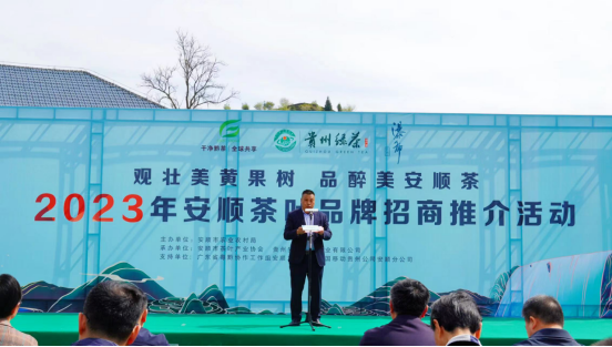 关于春茶已开采 香茗待客来——2023年安顺茶叶品牌招商推介活动举办的新闻(4)