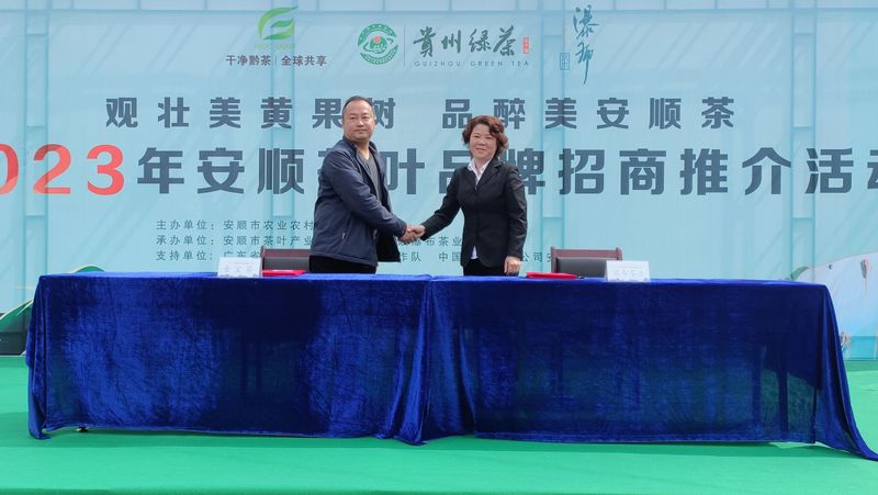 关于春茶已开采 香茗待客来——2023年安顺茶叶品牌招商推介活动举办的新闻(6)