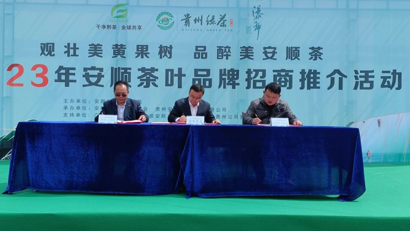 关于春茶已开采 香茗待客来——2023年安顺茶叶品牌招商推介活动举办的新闻(8)