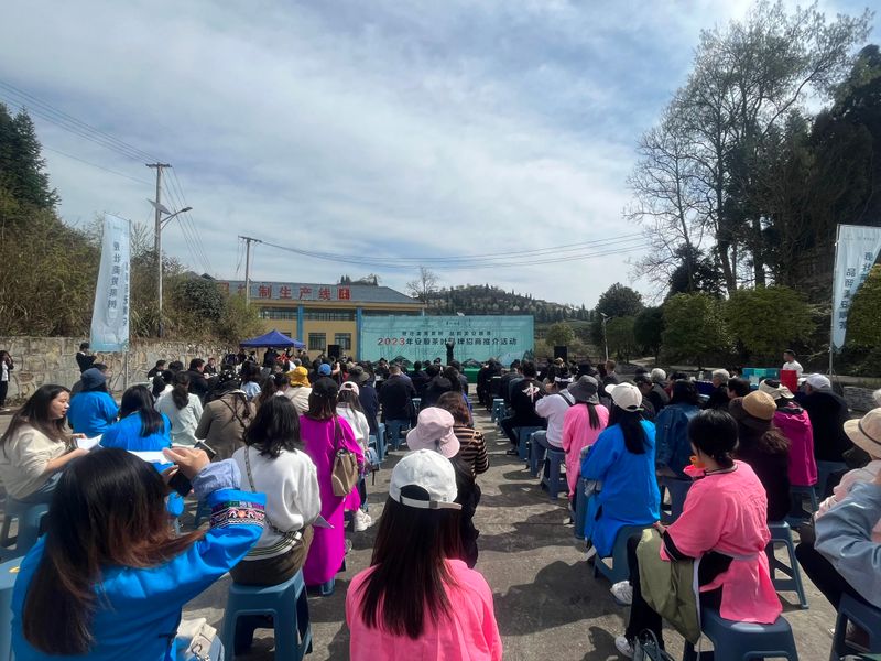 关于春茶已开采 香茗待客来——2023年安顺茶叶品牌招商推介活动举办的新闻(2)