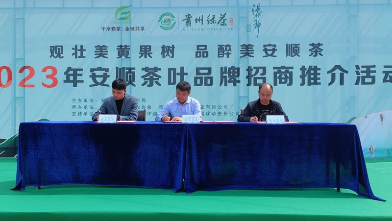 关于春茶已开采 香茗待客来——2023年安顺茶叶品牌招商推介活动举办的新闻(7)