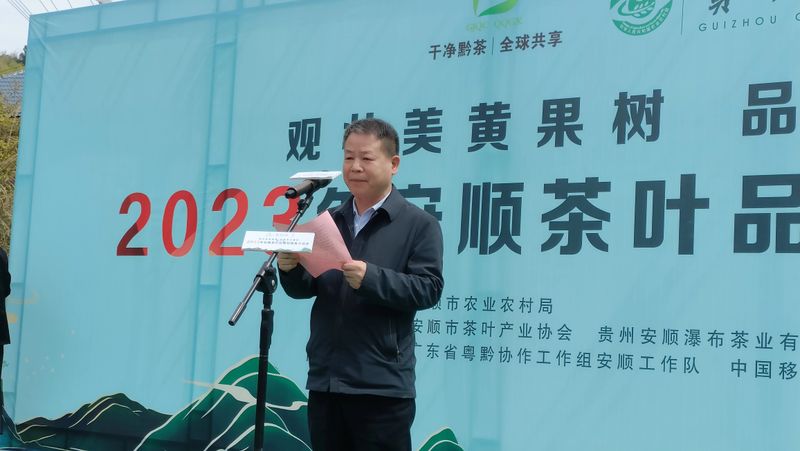 关于春茶已开采 香茗待客来——2023年安顺茶叶品牌招商推介活动举办的新闻(3)