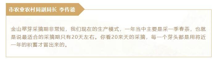 关于镇江金山翠芽绿茶，最贵每斤6000元！的相关内容(5)