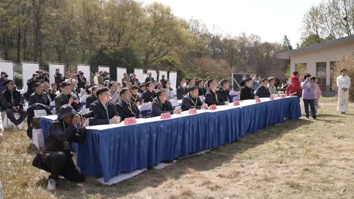 关于镇江金山翠芽绿茶，最贵每斤6000元！的相关内容