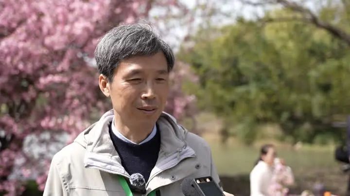 关于镇江金山翠芽绿茶，最贵每斤6000元！的相关内容(12)