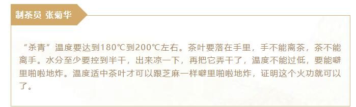 关于镇江金山翠芽绿茶，最贵每斤6000元！的相关内容(9)