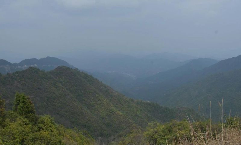 有关于春日迟迟闲啜茶 且以欢喜度流年（1）的相关信息(9)