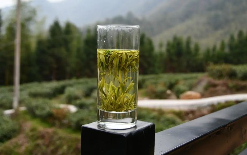 有关于春日迟迟闲啜茶 且以欢喜度流年（1）的相关信息(15)