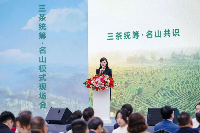 关于三茶统筹·名山共识在雅安宣布的信息