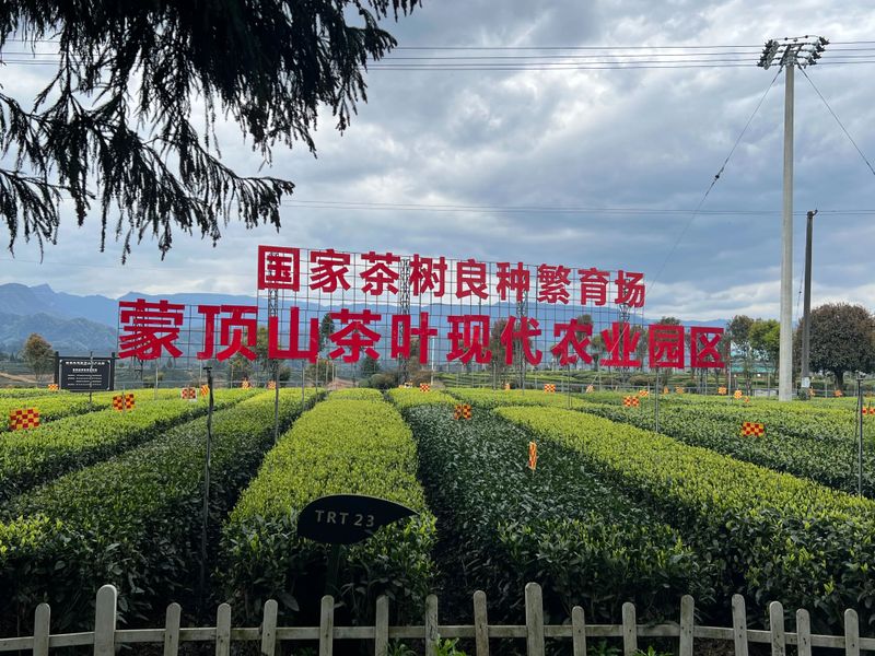 关于三茶统筹·名山共识在雅安宣布的信息(8)