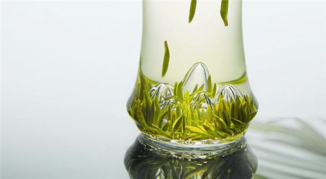 有关于湄潭翠芽上市时间，2023年湄潭翠芽价格的信息(3)