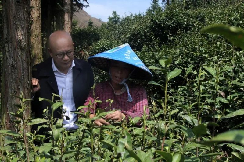 有关于冉博到都匀市调研茶产业发展情况并宣讲全国两会精神的信息(1)