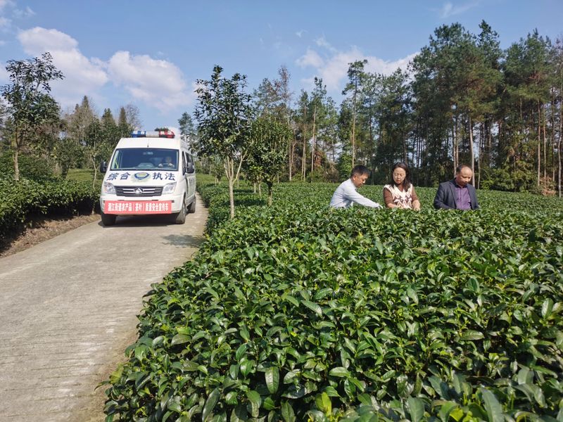 关于守护干净茶：湄江街道围绕六个“一”捍卫茶叶质量安全的信息(3)