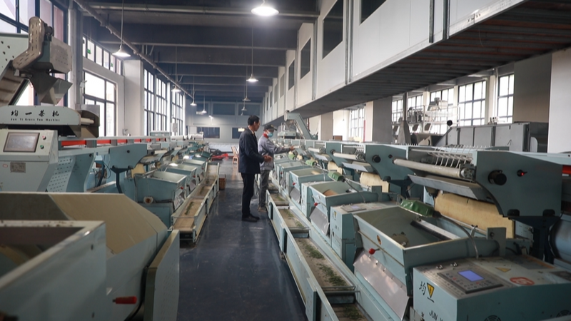 有关于泰顺茶园综合产值达12亿元的新闻