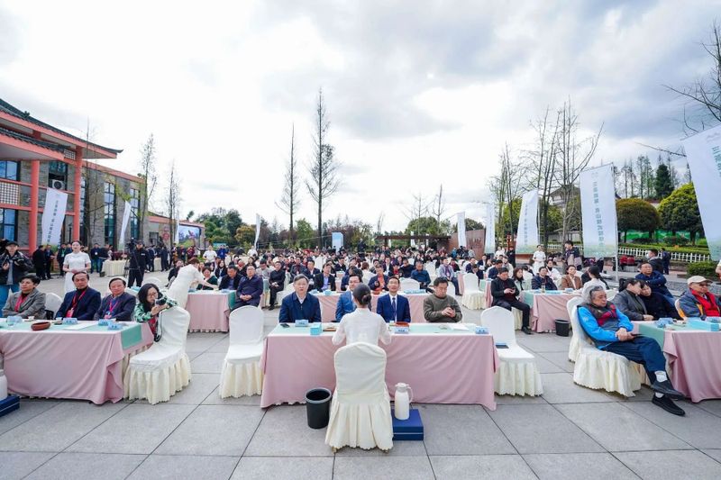 有关于三茶统筹·名山做法的消息(4)