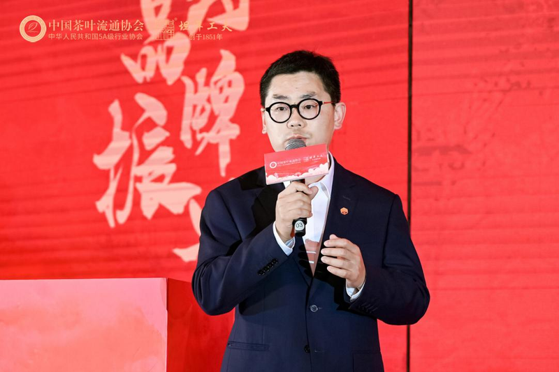 有关于2023红茶城市品牌建设交流会成功召开的内容(17)